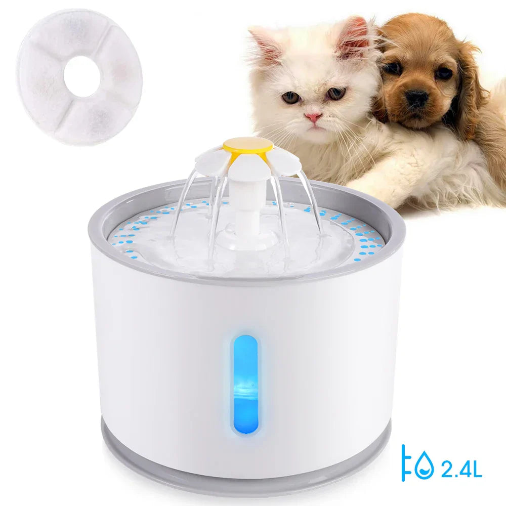 Pet Water Fountain