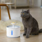 Pet Water Fountain