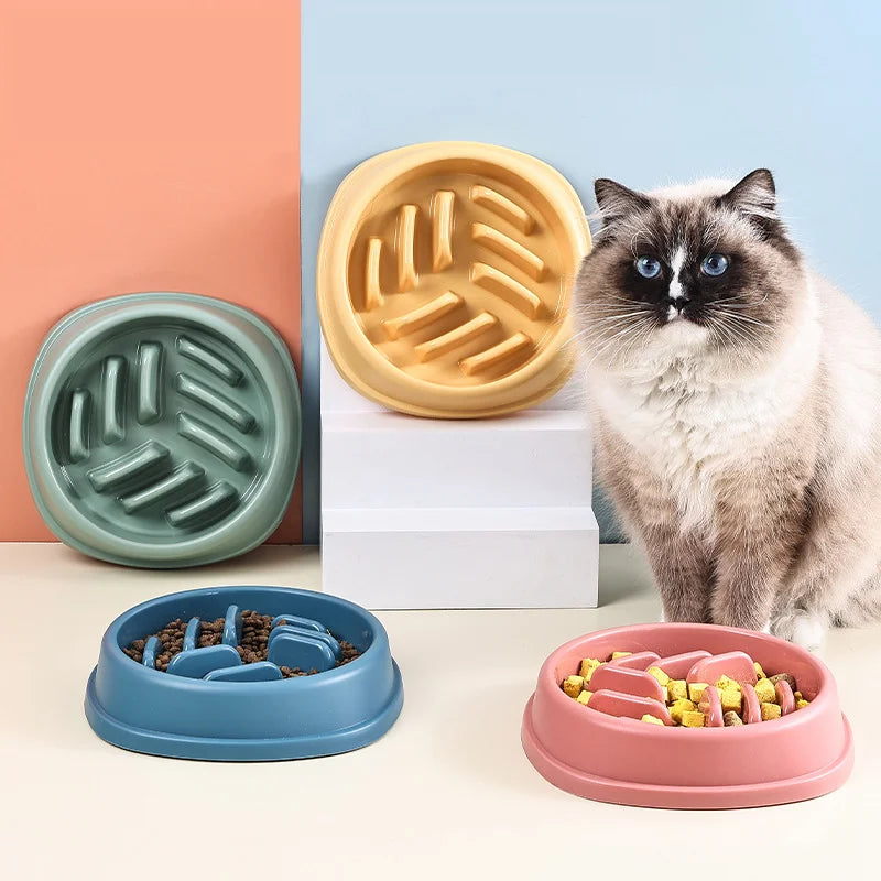 Anti-Choking Slow Feeder Bowl – Large & Non-Slip