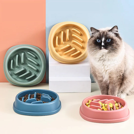 Anti-Choking Slow Feeder Bowl – Large & Non-Slip