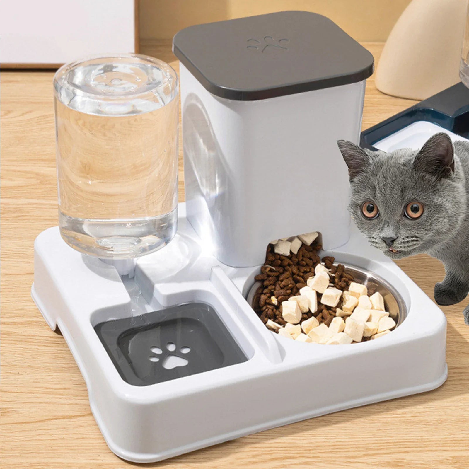 2-in-1 Automatic Pet Feeder