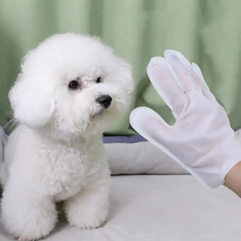 No-Rinse Grooming Gloves