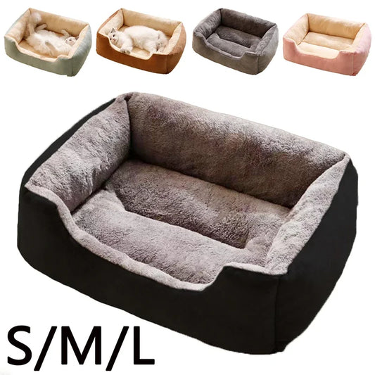 Pet Beds & Accessories: Cat, Dog, and Kitten Essentials