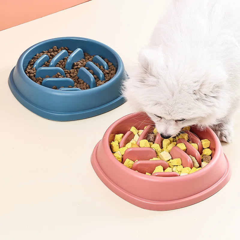 Anti-Choking Slow Feeder Bowl – Large & Non-Slip