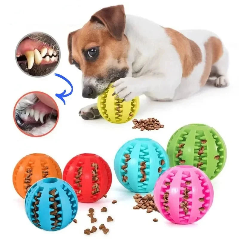 Pet Toys & Playtime