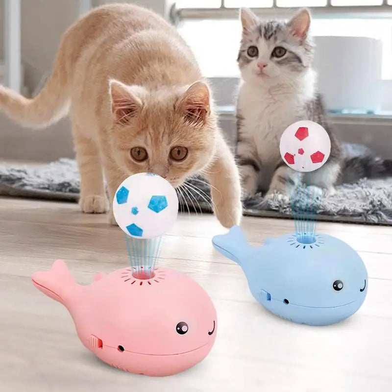 Cat Puzzle Toys