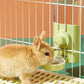 Automatic Pet Feeder & Water Dispenser – For Dogs, Cats & Small Animals