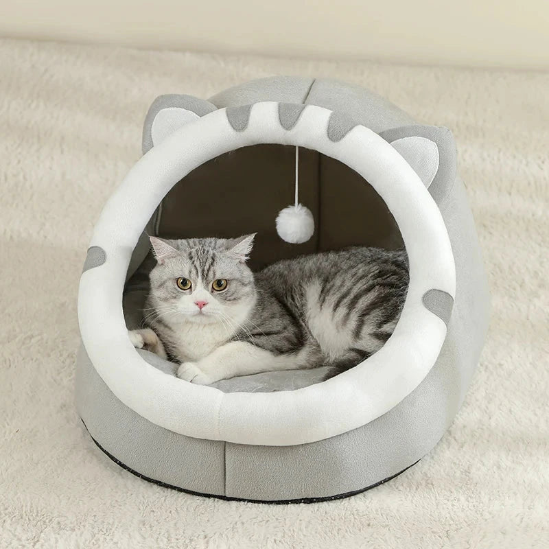 Pet Orthopedic foam bed