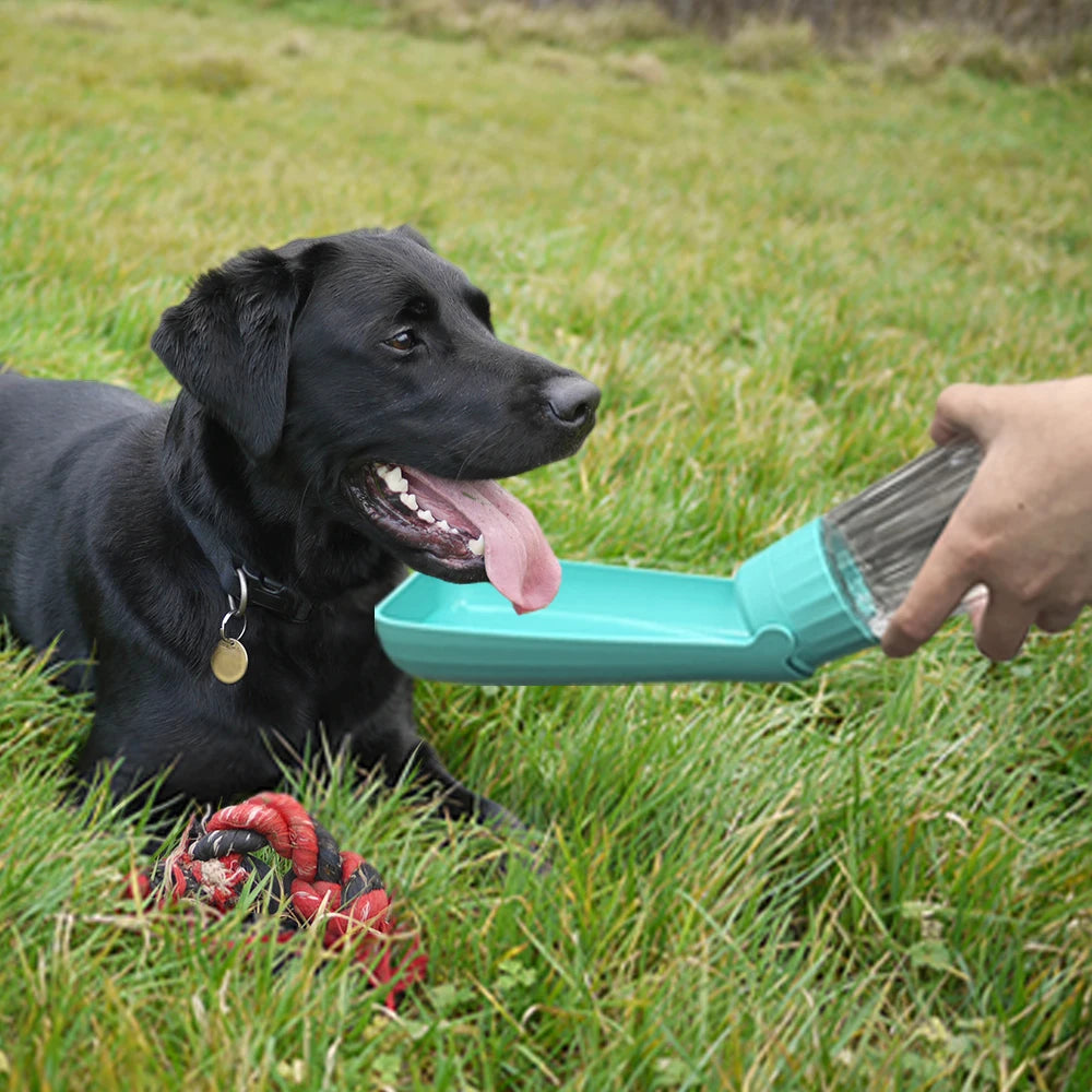 Portable Pet Water Bottle – Leak-Proof & Travel-Friendly 🐶🐶