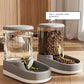 Automatic Pet Feeder & Water Dispenser – Food Bowl for Cats & Dog