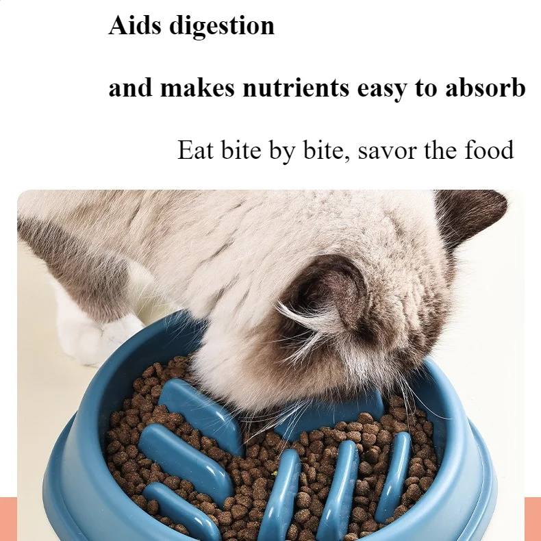 Anti-Choking Slow Feeder Bowl – Large & Non-Slip