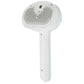 2-in-1 Cat Steam & Hair Remover Grooming Brush
