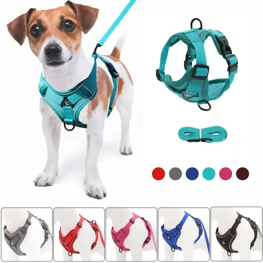 No-Pull Adjustable Harness & Leash Set – Perfect for Small Dogs & Cats